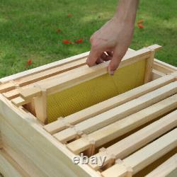 2 Tier Beekeeper Beekeeping Honey Bee House Wooden Hive Frames Beehive Brood Box