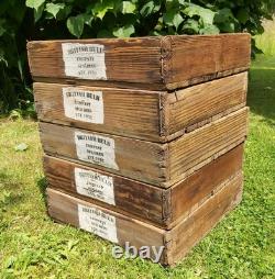 A Set Of 5 Vintage Wooden Bulb Boxes Crates Trays British Bulb Company Spalding