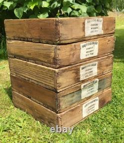 A Set Of 5 Vintage Wooden Bulb Boxes Crates Trays British Bulb Company Spalding