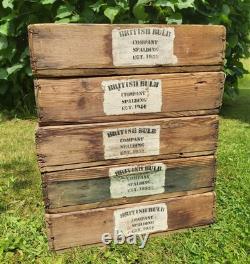 A Set Of 5 Vintage Wooden Bulb Boxes Crates Trays British Bulb Company Spalding