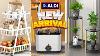 Aldi Legendary Summer Discounts Have Started 8 99 Check It Out Aldi New Shopping