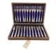 Antique Boxed Silver Plated Fish Cutlery Set Wooden Box Maker J Collyer & Co