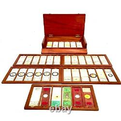 Antique Microscope Slide Set in Wooden Mahogany Collectors Box / Chest