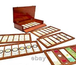 Antique Microscope Slide Set in Wooden Mahogany Collectors Box / Chest