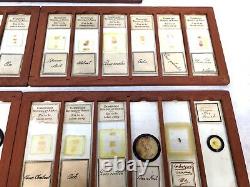 Antique Microscope Slide Set in Wooden Mahogany Collectors Box / Chest