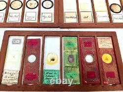 Antique Microscope Slide Set in Wooden Mahogany Collectors Box / Chest