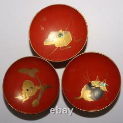 Japanese Antique wooden makie lacquer Small bowl 20set w / box KG37