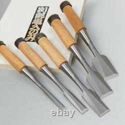 Japanese Chisel Nomi with Wooden Box 5 Types Set Carpentry Woodworking Tool
