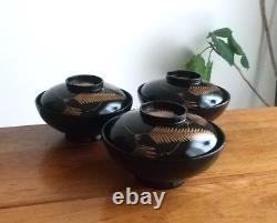 Japanese Lacquerware with Lids 1927 Vintage, soup bowl Set of 10 in a wooden box