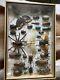 Large Set Of 30 Plus Insects Taxidermy Frame Display Taxidermy Wooden Box