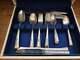 Oneida Camelia Silver Plate Flatware Set 41 Pc In Wooden Vinyl Covered Box