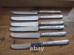 Oneida Camelia Silver Plate Flatware Set 41 Pc In Wooden Vinyl Covered Box