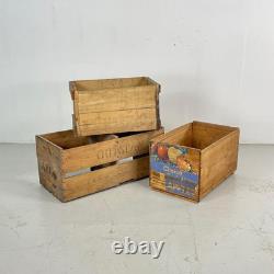 SET OF 3 VINTAGE INDUSTRIAL 60s WOODEN FRUIT APPLE CRATE BOX #4493