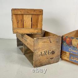 SET OF 3 VINTAGE INDUSTRIAL 60s WOODEN FRUIT APPLE CRATE BOX #4493