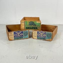 SET OF 3 VINTAGE INDUSTRIAL 60s WOODEN FRUIT GRAPE CRATE BOX #4488