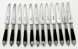 Set 12 Antique French Wooden Handled Silver Plate & Steel Dinner Knives Boxed