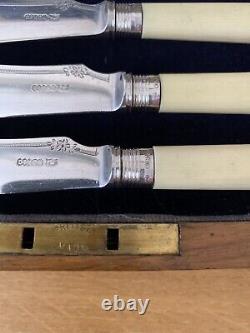 Vintage Wooden Box Fish Knives & Forks Set With Sterling Silver Collars